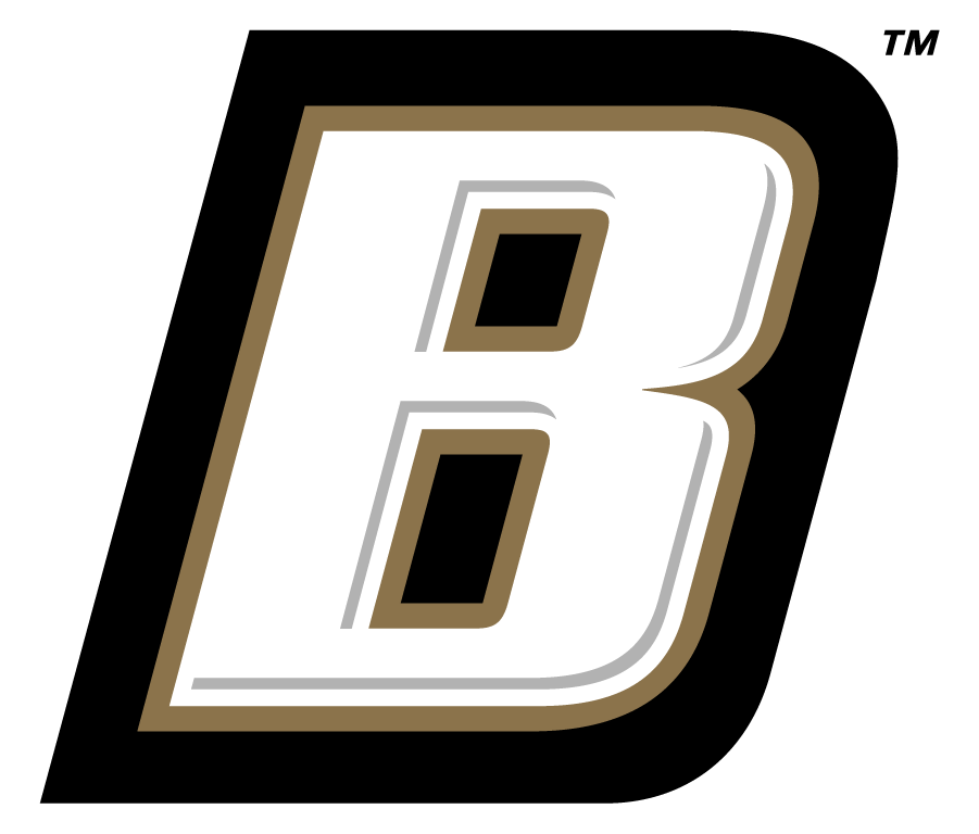 Bryant Bulldogs 2004-Pres Secondary Logo iron on transfers for T-shirts